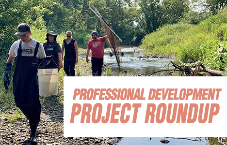 Professional Development Project Roundup