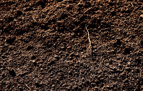 Dirt & Sod