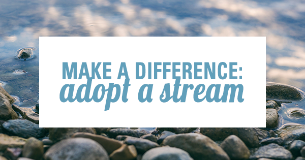 adopt a stream