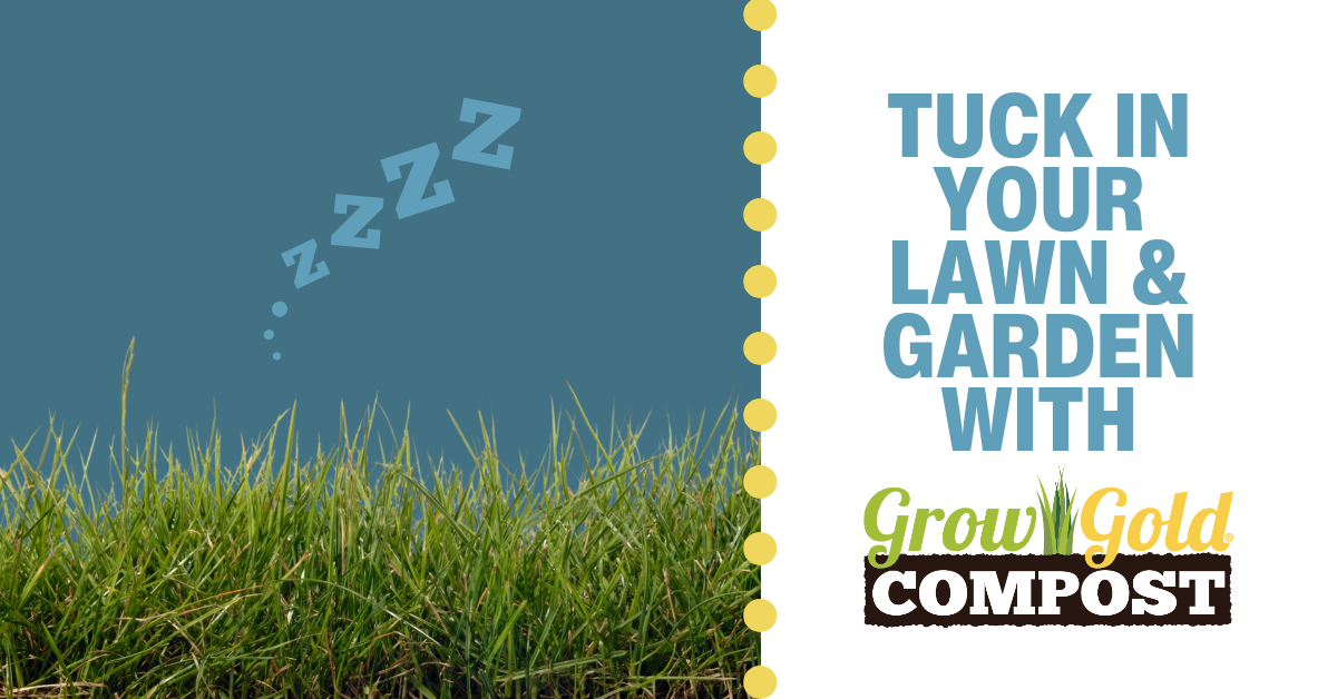 fall compost campaign