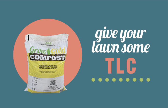 Give Your Lawn Some TLC