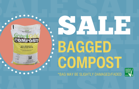 A Fresh Beginning for Your Garden