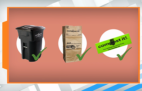 How to Get Rid of Your Live Christmas Tree