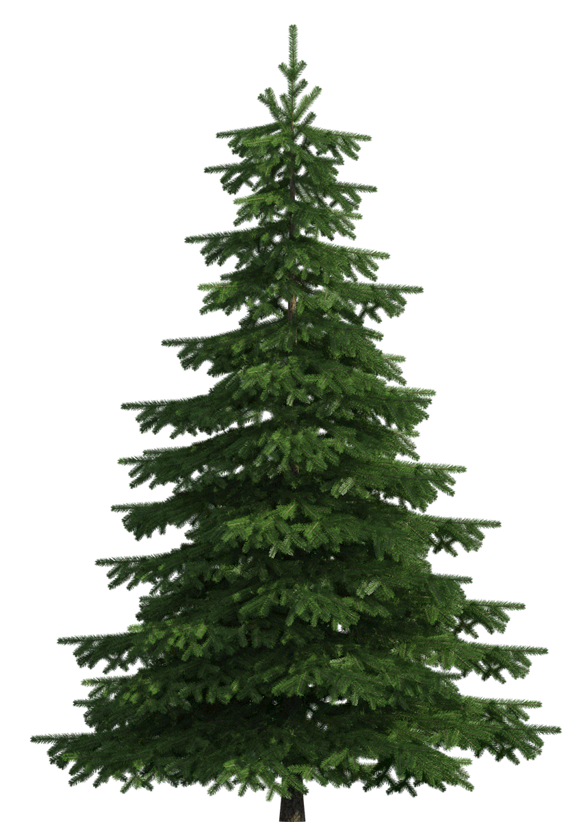 Ankeny Christmas Tree Pickup 2022 Winter Collection - Metro Waste Authority