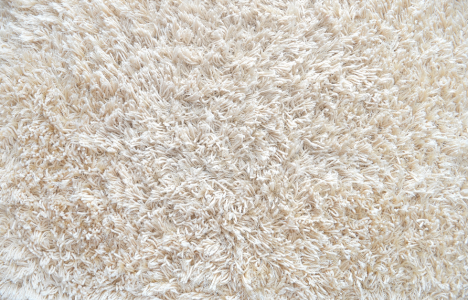 Carpet & Carpet Pads