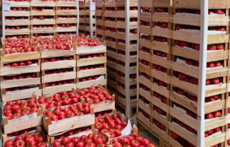 Food Production Waste