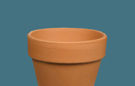 Plant Pots