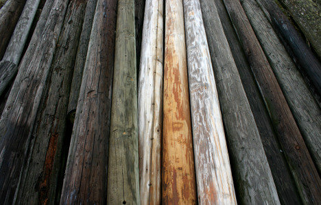 Telephone Poles