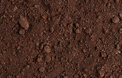 Contaminated Soil