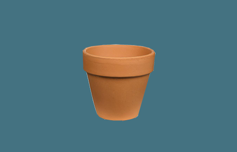 Plant Pots